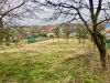 IMG_2994.jpeg