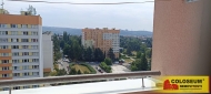 Pronjem bytu 1+1, 32 m2, OV, Brno, Lesn (okres Brno-msto)