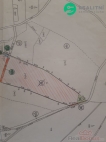 Prodej pozemku 40 000 m2, zemědělská půda, Prosečné (okres Trutnov)
