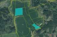 Prodej pozemku 61 601 m2, zemdlsk pda, Louov (okres Plze-jih)