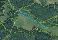 Prodej pozemku , les, Hoka, Nov Domky (okres Tachov) - exkluzivn