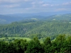 20250611_173337.jpg