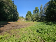 Prodej pozemku , trvalý travní porost, Letovice (okres Blansko)