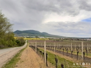 Prodej adovho RD, 250 m2, Strachotn (okres Beclav)