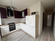 Pronjem bytu 3+1, 71 m2, OV, esk Budjovice, esk Budjovice 2, ul. Otavsk