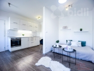 Pronjem bytu 1+kk, 39 m2, OV, Hradec Krlov, Prask Pedmst, ul. Chelickho