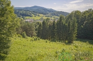 Prodej pozemku , zemědělská půda, Lipová-lázně (okres Jeseník)