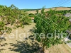 DJI_0192-HDR.jpg