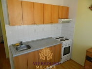 Pronjem bytu 1+1, 35 m2, OV, Milovice, Mlad (okres Nymburk), ul. Braniborsk