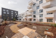 Prodej bytu 2+kk, 66 m2, OV, Brno, Star Brno (okres Brno-msto), ul. Hlinky
