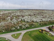Prodej pozemku 1 850 m2, zvltn, Medlov (okres Brno-venkov) - exkluzivn