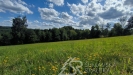 IMG_20250723_170139.jpg