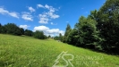IMG_20250723_170455.jpg