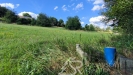 IMG_20250723_170312.jpg