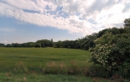 Prodej pozemku 4 623 m2, zahrada, Slutice, Kvtnice (okres Praha-vchod)