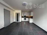 Pronjem bytu 2+kk, 39 m2, OV, ternberk (okres Olomouc), ul. nmst Svobody