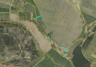 Prodej pozemku 7 696 m2, zemdlsk pda, Drouetice, Domanice (okres Strakonice)