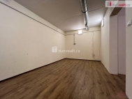 Pronjem skladovacch prostor, Praha 3, ikov