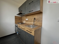 Pronjem bytu 1+1, 28 m2, OV, Krupka (okres Teplice), ul. Sdlit