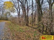 Prodej pozemku , uren k vstavb RD, Rousnov, echyn (okres Vykov)