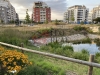 IMG_5346.jpeg