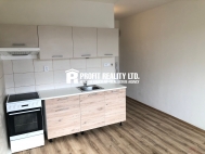Pronjem bytu 1+1, 40 m2, OV, Praha 4, Lhotka, ul. Mirotick