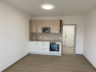 Pronjem bytu garsonira, 0 m2, OV, Zbch (okres Plze-sever), ul. Vrbov