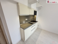 Pronjem bytu 2+kk, 40 m2, OV, Praha 2, Vinohrady, ul. Lublask