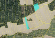 Prodej pozemku 100 695 m2, zemdlsk pda, Meichov (okres Strakonice)