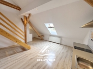 Pronjem bytu 2+kk, 55 m2, OV, Ostrava, Zbeh (okres Ostrava-msto), ul. U Hit