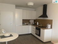 Pronjem bytu 2+kk, 56 m2, OV, Plze, ernice (okres Plze-msto), ul. Vltavnov