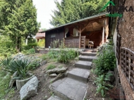 Prodej pozemku , zahrada, Tachov