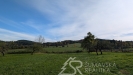 PXL_20251019_111659968.jpg