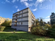 Pronjem bytu 1+kk, 33 m2, OV, Plze, Bolevec (okres Plze-msto), ul. Ledeck