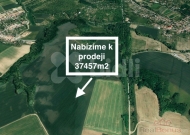 Prodej pozemku , zemědělská půda, Želešice (okres Brno-venkov)