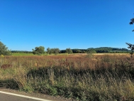 Prodej pozemku , zemědělská půda, Mnichovo Hradiště, Sychrov (okres Mladá Boleslav)