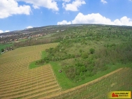 Prodej pozemku , zvláštní, Znojmo, Oblekovice