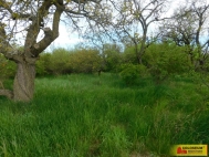 Prodej pozemku , zahrada, Znojmo