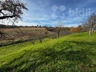 Prodej pozemku , zahrada, Bezuchov (okres Perov)