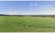 Prodej pozemku , zemdlsk pda, Ostrov nad Oslavou (okres r nad Szavou)