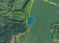 Prodej pozemku , trval travn porost, Hoka, Dlouh jezd (okres Tachov) - exkluzivn