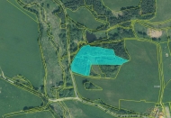 Prodej pozemku , trval travn porost, Hoka (okres Tachov) - exkluzivn