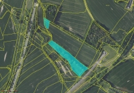 Prodej pozemku 29 389 m2, zemdlsk pda, Bystice, Petrovice (okres Beneov)