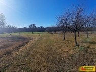 Prodej pozemku , zemdlsk pda, tchov (okres Blansko)