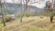 Prodej pozemku , zahrada, Brno, Bystrc (okres Brno-msto)