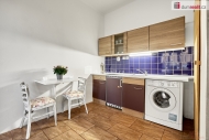 Pronjem bytu 1+kk, 21 m2, OV, st nad Labem, st nad Labem-centrum, ul. Emy Destinov