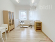 Pronájem obchodních prostor, Třeboň, Třeboň II (okres Jindřichův Hradec)