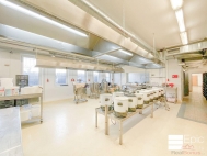 Pronájem komerčního objektu : Výroba, Neratovice (okres Mělník)