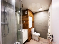 Pronjem bytu 1+1, 0 m2, OV, Blina, Teplick Pedmst (okres Teplice), ul. Sdlit Za Chlumem - exkluzivn