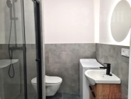 Pronjem bytu 1+1, 0 m2, OV, Frdek-Mstek, Mstek, ul. Foerstrova